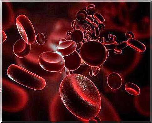 Red blood cells 