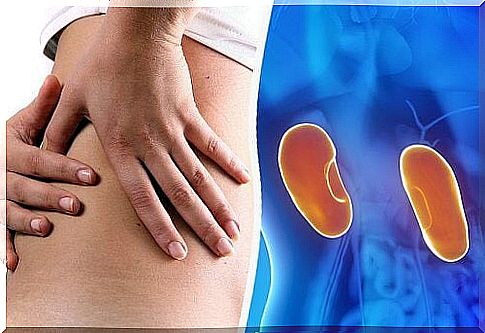 8 symptoms that warn us of a malfunction of the kidneys