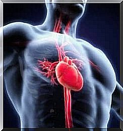 Asthenia and cardiovascular system.