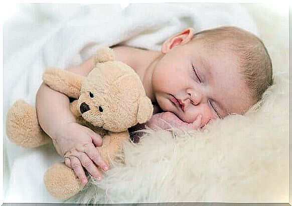 Newborn baby sleeps with soft toy