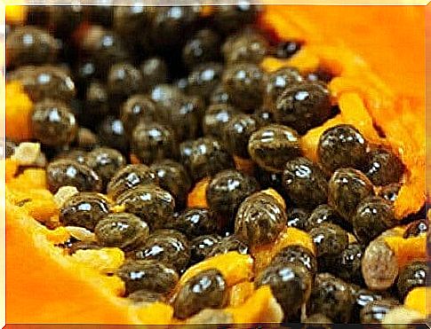 Benefits of papaya seeds