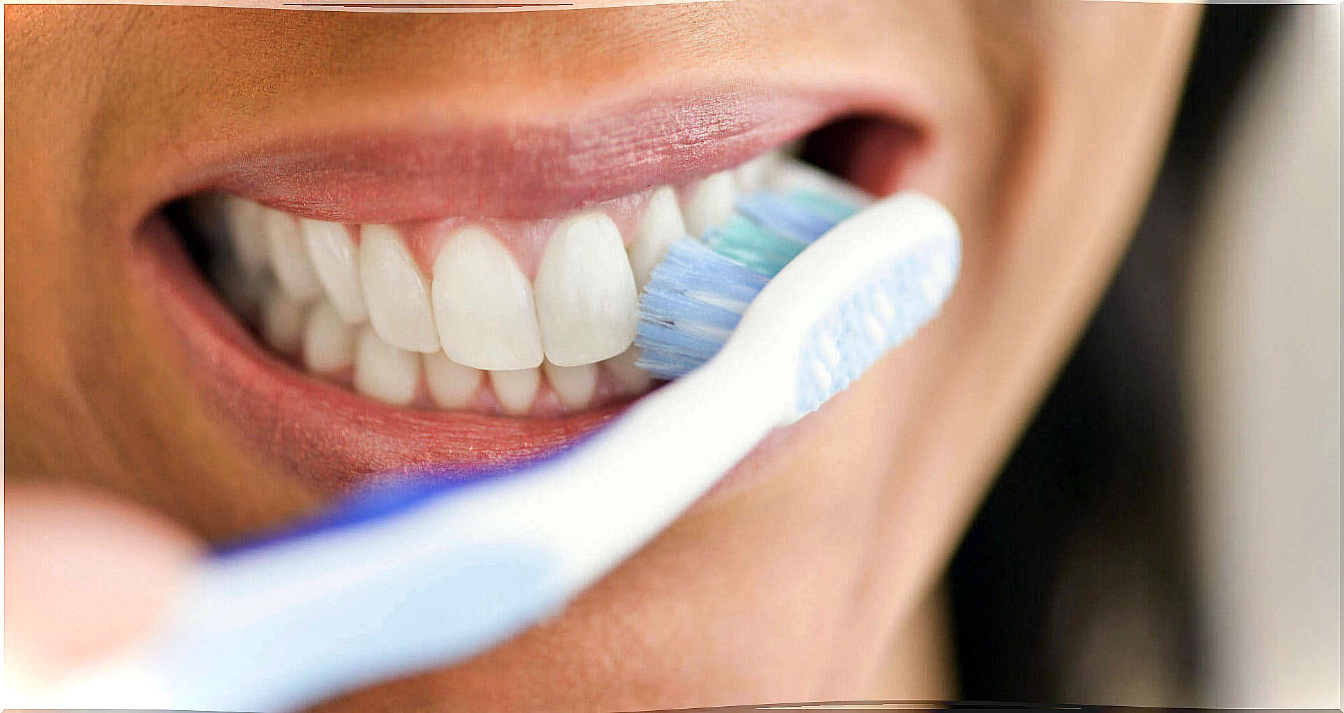 Healthy teeth and toothbrush