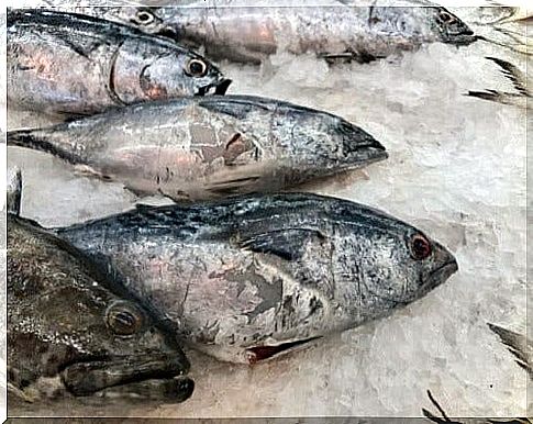 Raw fish that carries potential bacteria that are harmful to humans.