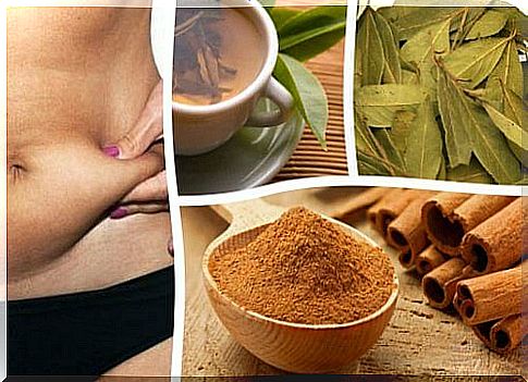 Cinnamon and bay leaf: natural fat burning treatment