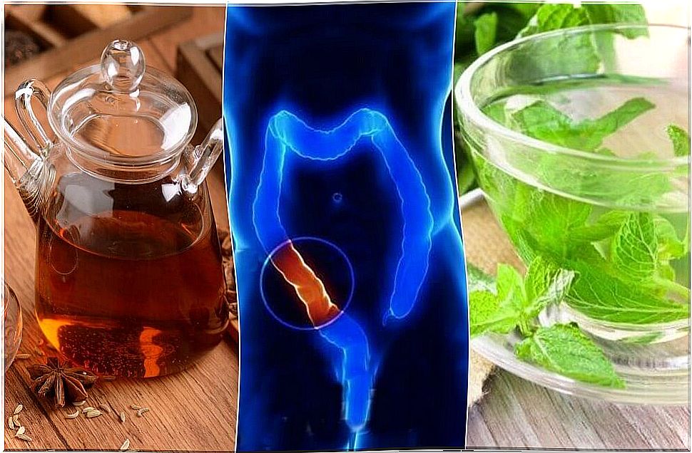 Cleanse the colon with 5 natural infusions