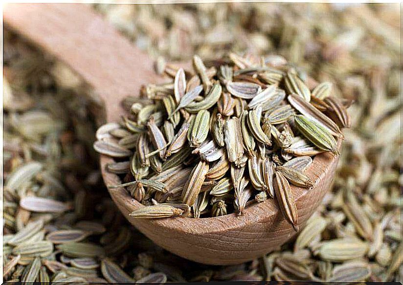 Fennel seeds to cleanse the colon