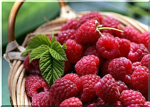 Raspberries in a basket