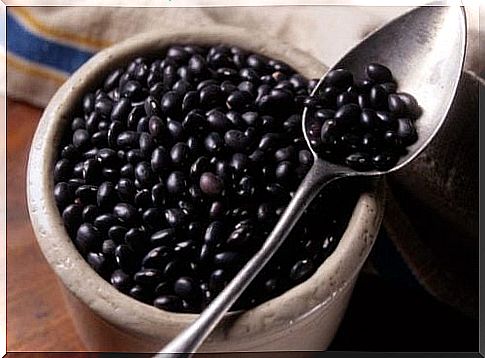 Black beans in the lactation diet