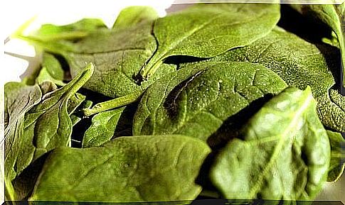 Eliminate fatigue with spinach