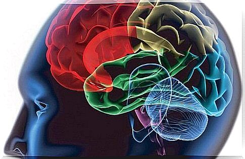 Computer skull to illustrate concentration