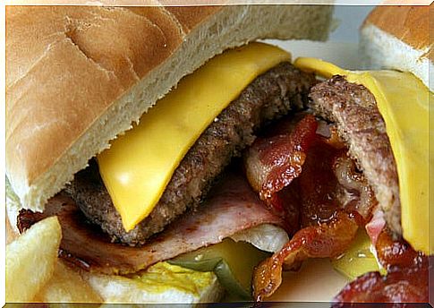 Fast food burgers: do you know what they're made of?