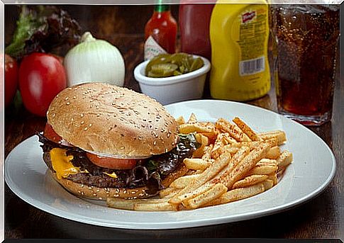 Burger and fries 