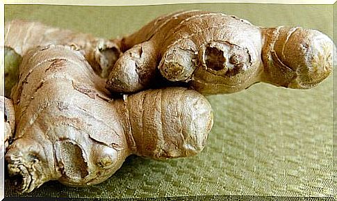 Ginger root ally to lose weight