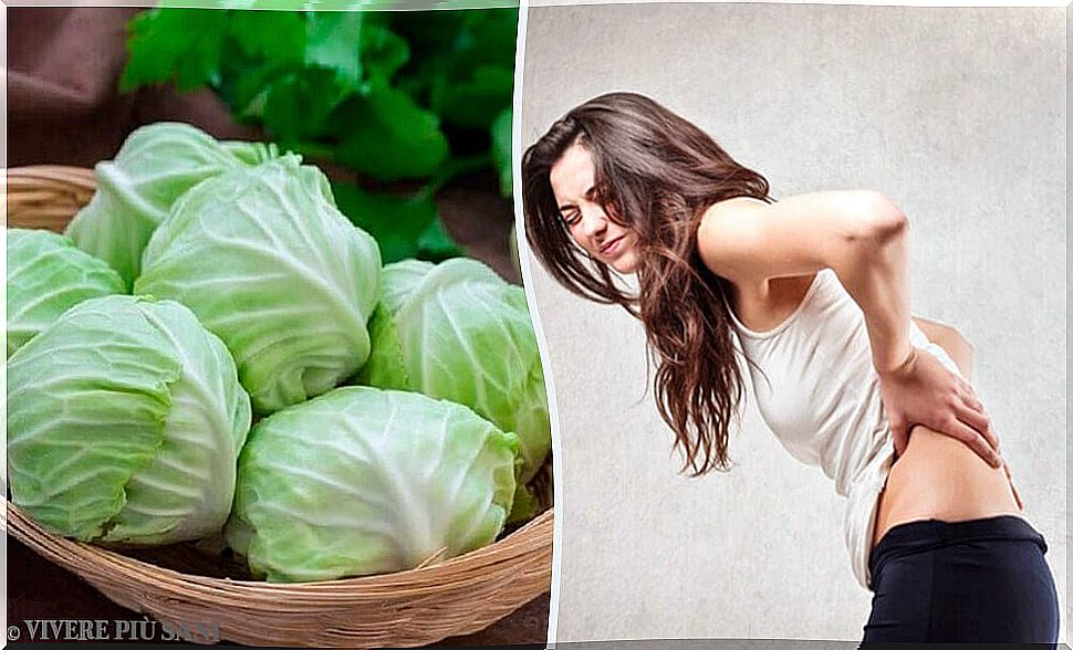 Hernia: remedy of clay, vinegar and cabbage leaves