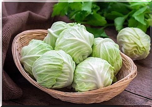 Basket of cabbages