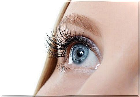 How to grow eyelashes?