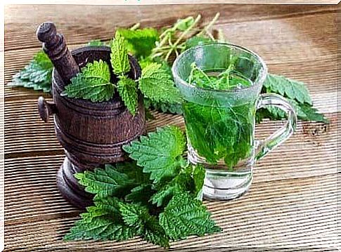 How to stop snoring thanks to the infusion of nettle