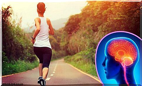 Exercise interruption: effects on the brain