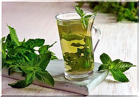 mint infusion intestinal gas