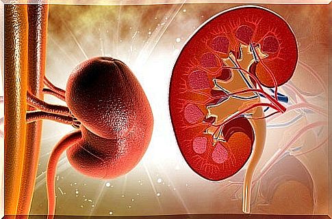 Natural remedies to cleanse the kidneys