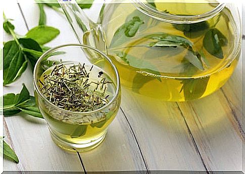 prepare teas correctly - Green tea