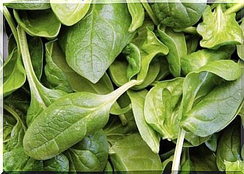 Reduce water retention with spinach