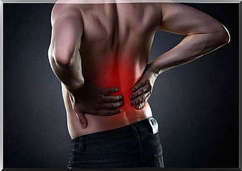 Relieve low back pain thanks to 8 good habits