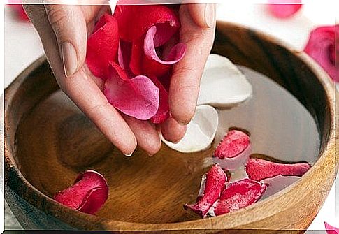 Rose water and its wonderful benefits: how to prepare it