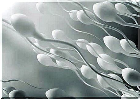 Deficiencies in micronutrients are associated with reduced sperm mobility.