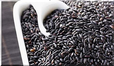 black rice is one of the richest cereals in antioxidants and minerals