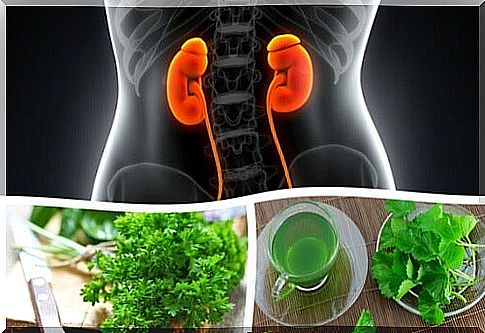 The best infusions to improve kidney function