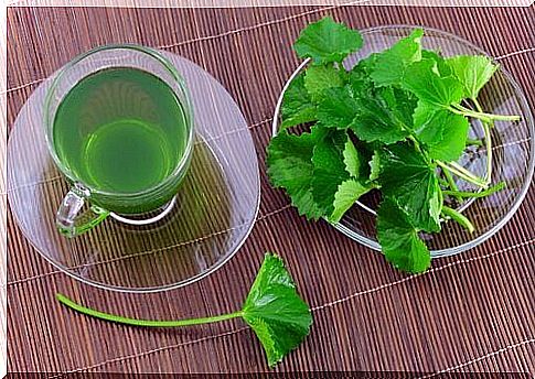 Parsley infusion to improve kidney function