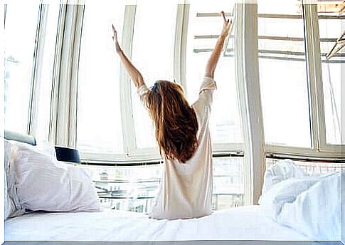 Woman ironing in the morning.