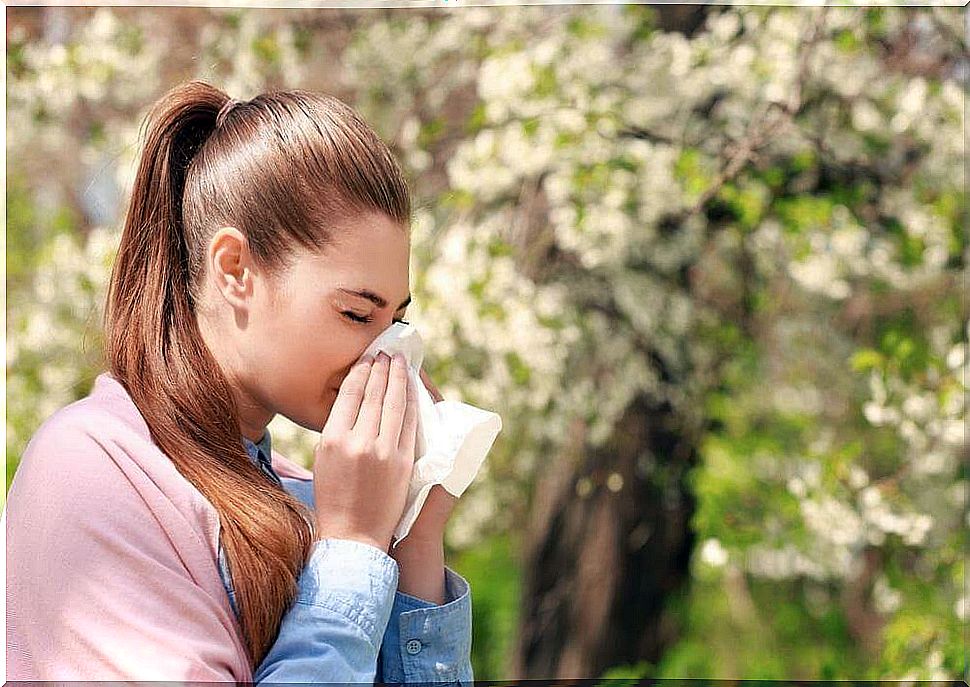 Treat allergic rhinitis: recommended foods