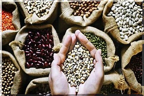 legumes cannot be missing from vegan foods rich in calories